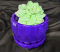 Artificial Succulent Plant