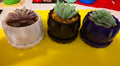 Artificial Succulent Plants