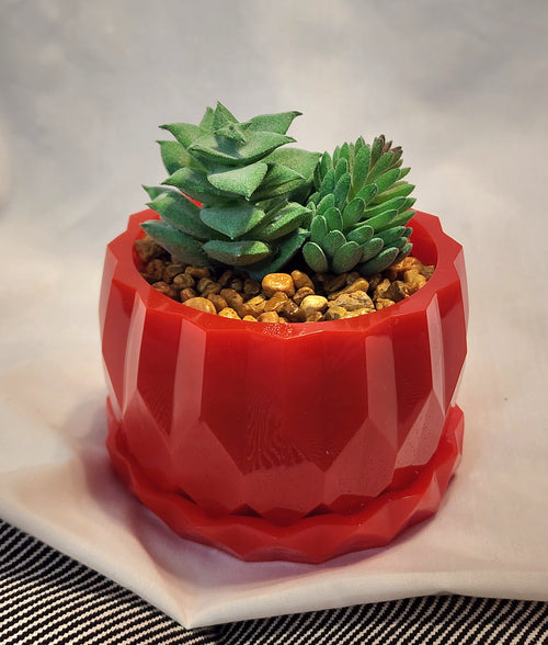 Artificial Succulent Plant